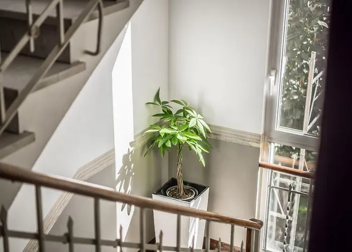 Cucchiarti 3a Apartamento